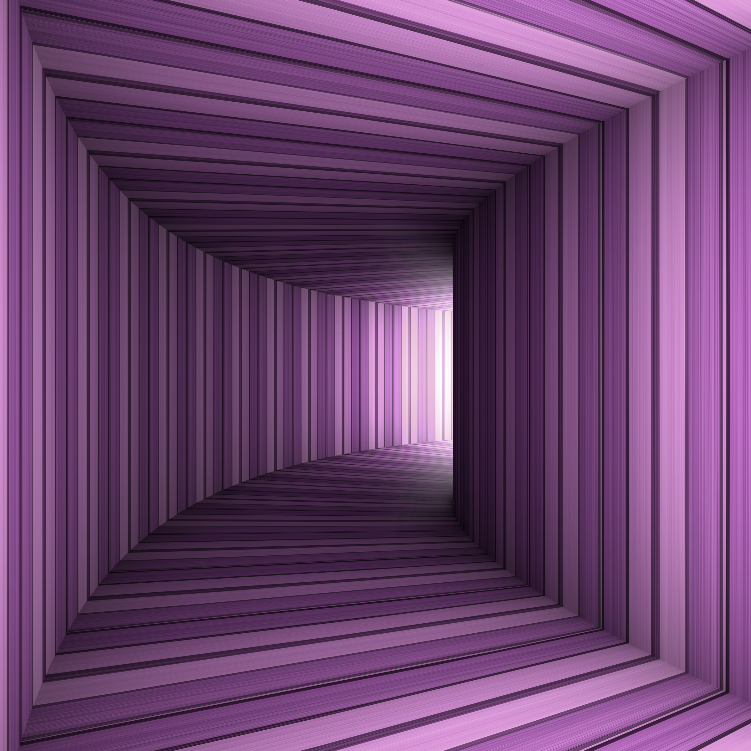 lilac tunnel